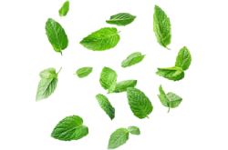 Drop Image