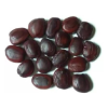 Kachuka Seeds